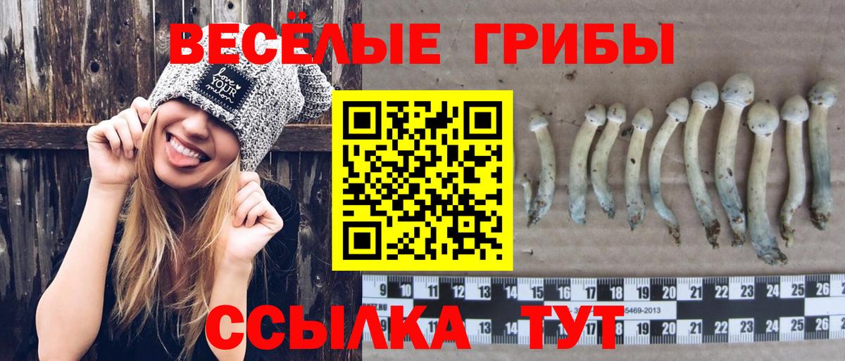 Псилоцибиновые грибы Magic Shrooms  Вход с VPN  Обнинск  закладка  Псилоцибиновые грибы мицелий 